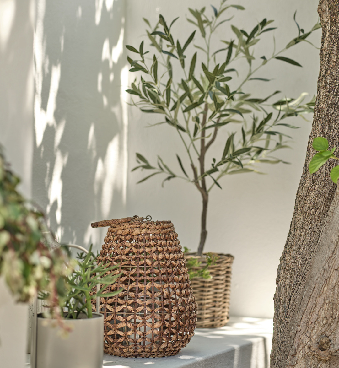 Lanterne d'extérieur et plante artificielle type olivier sur terrasse